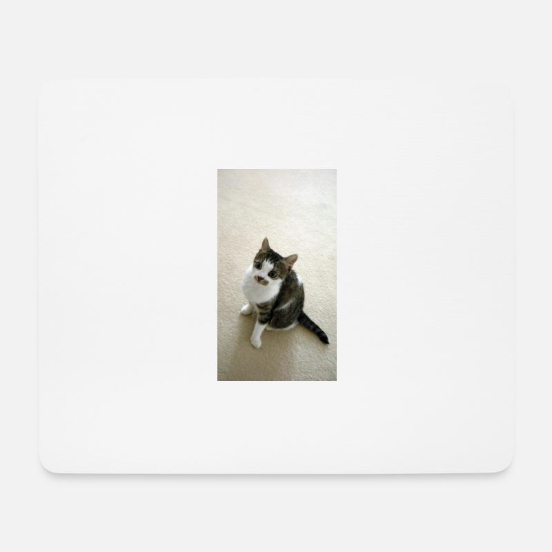 Hübsches Kätzchen - Mousepad (Querformat) - Weiß