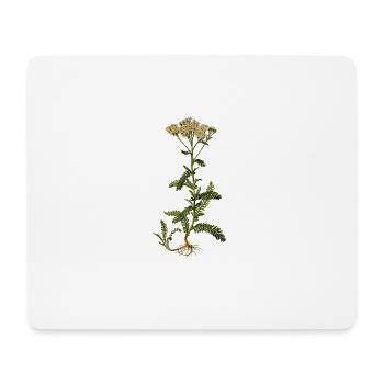 herbes thym romarin persil origan aneth - Tapis de souris (format paysage) - blanc - Devant