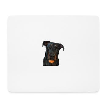 Blick auf den Beauceron - Mousepad (Querformat) - Weiß - Vorne