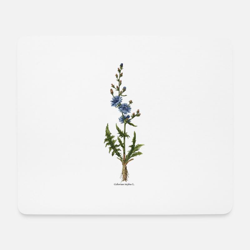 Cikorie - Musemåtte (tværformat) - hvid