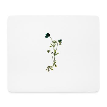 herbes thym romarin persil origan aneth - Tapis de souris (format paysage) - blanc - Devant