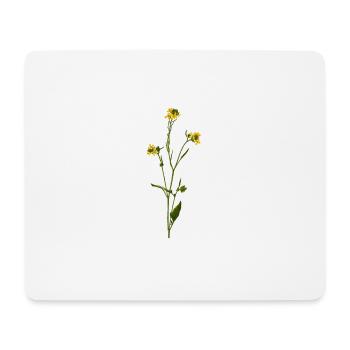 herbes thym romarin persil origan aneth - Tapis de souris (format paysage) - blanc - Devant