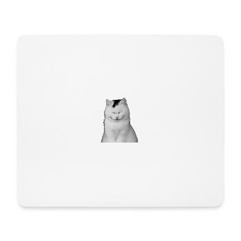 Weißes Kätzchen lacht - Mousepad (Querformat) - Weiß - Vorne