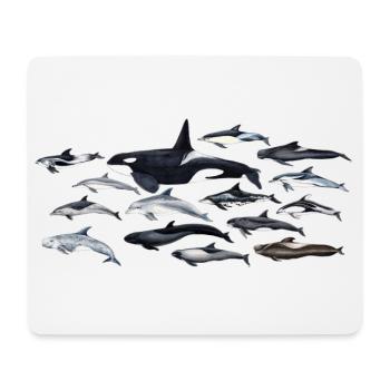 Dolphins - Dolphins - Dauphins - Delphinidae - Mouse Pad (horizontal) - white - Front