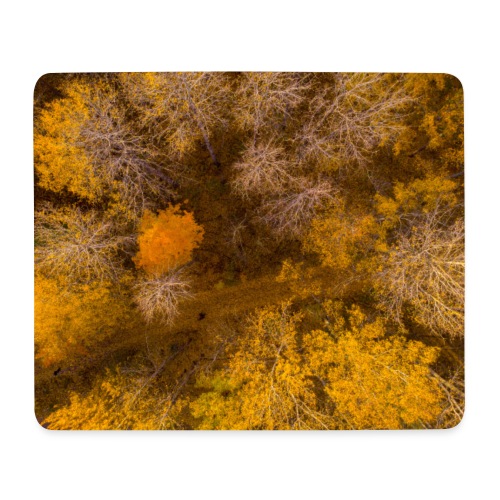 The road not taken - Mouse Pad (horizontal)