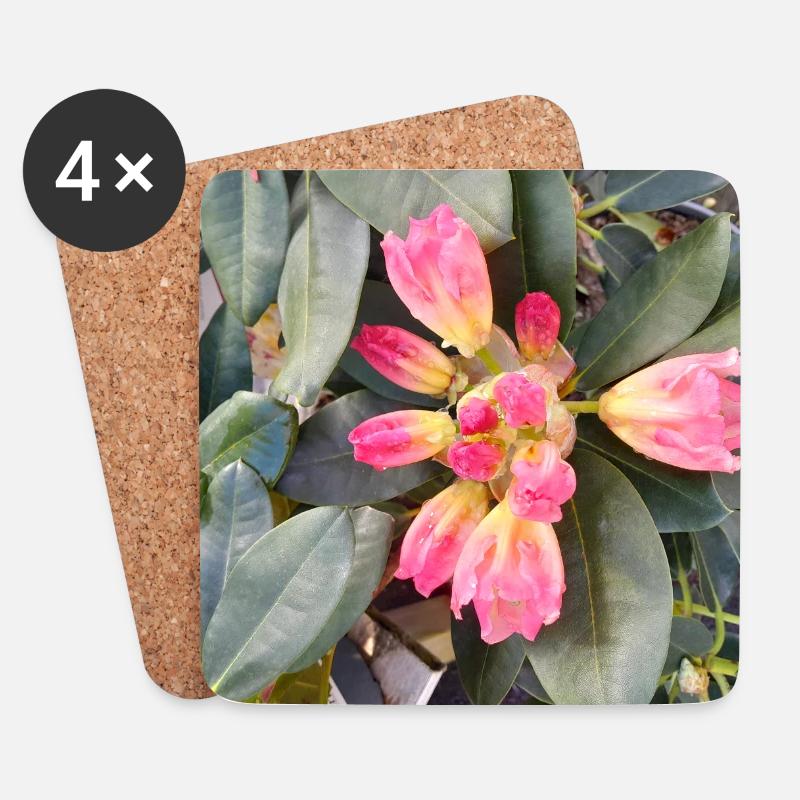 Orange-rosa Blüten auf grünem Laub - Untersetzer (4er-Set) - Weiß