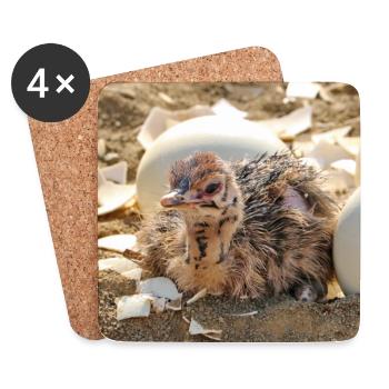 Poussins d’autruche dans un nid avec des coquilles d’œufs - Dessous de verre (lot de 4) - blanc - Devant