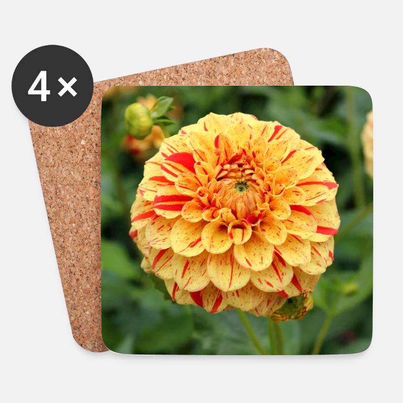 gelbe Dahlie Blüte Blume Poster - Untersetzer (4er-Set) - Weiß