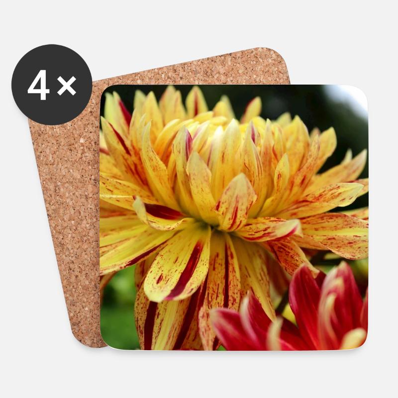 Dahlie gelb Blüte ,Blume - Untersetzer (4er-Set) - Weiß