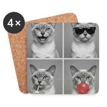Cats European Burmese Cat - Coasters (set of 4) - white - Front
