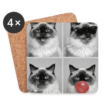 Cats, Himalayan Cat - Coasters (set of 4) - white - Front