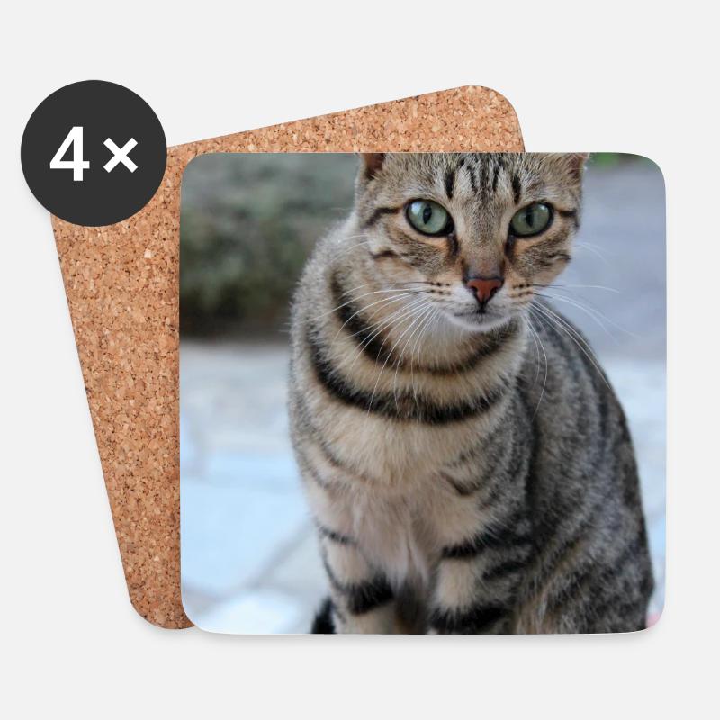 Katze Kätzchen Poster Katzenposter - Untersetzer (4er-Set) - Weiß