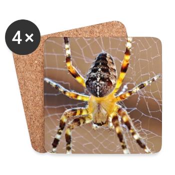 Tarantula im Spinnennetz – Majestätisches Porträt  - Untersetzer (4er-Set) - Weiß - Vorne