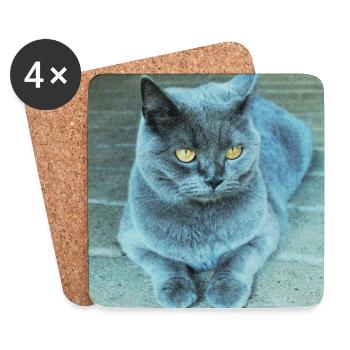 Gray Blue Cat with Golden Eyes - Coasters (set of 4) - white - Front