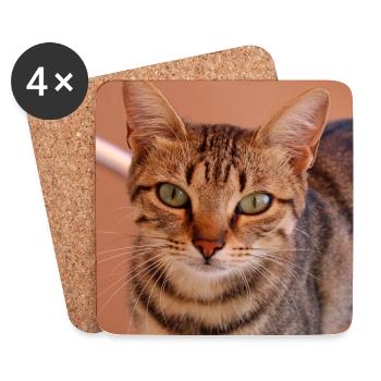 Katze Kätzchen Poster quadratisch Katzenposter - Untersetzer (4er-Set) - Weiß - Vorne