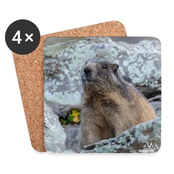 Murmeltier Porträt 6 - Alpen Deko und Geschenkidee - Untersetzer (4er-Set) - Weiß - Vorne