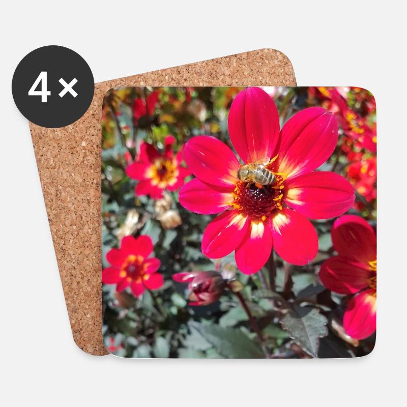 Grossfiedrige Dahlie / Bienenpflanze - Untersetzer (4er-Set) - Weiß