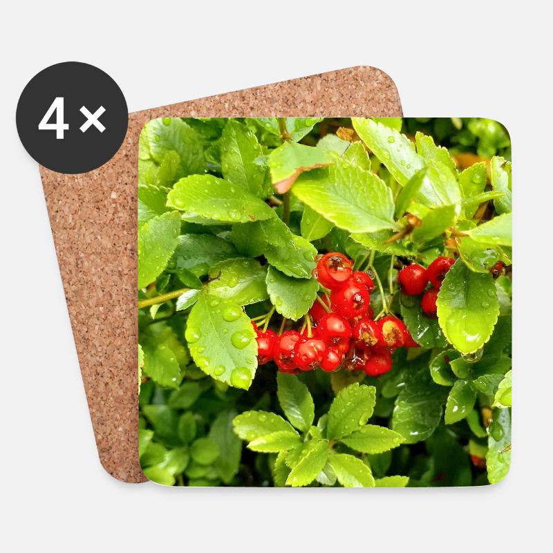 Mittelmeer Feuerdorn / Pyracantha coccinea - Untersetzer (4er-Set) - Weiß