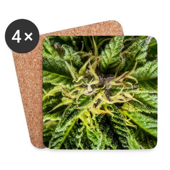Cannabis Blüten, Marihuana, es grünt so grün - Untersetzer (4er-Set) - Weiß - Vorne