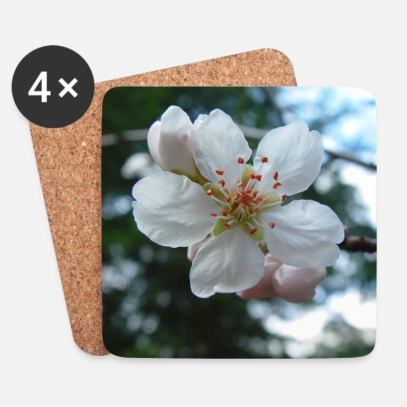 Mandelblüte Frühlingslook 01 - Untersetzer (4er-Set) - Weiß
