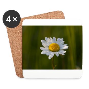 Margeriten Margerite Gänseblümchen - Untersetzer (4er-Set) - Weiß - Vorne