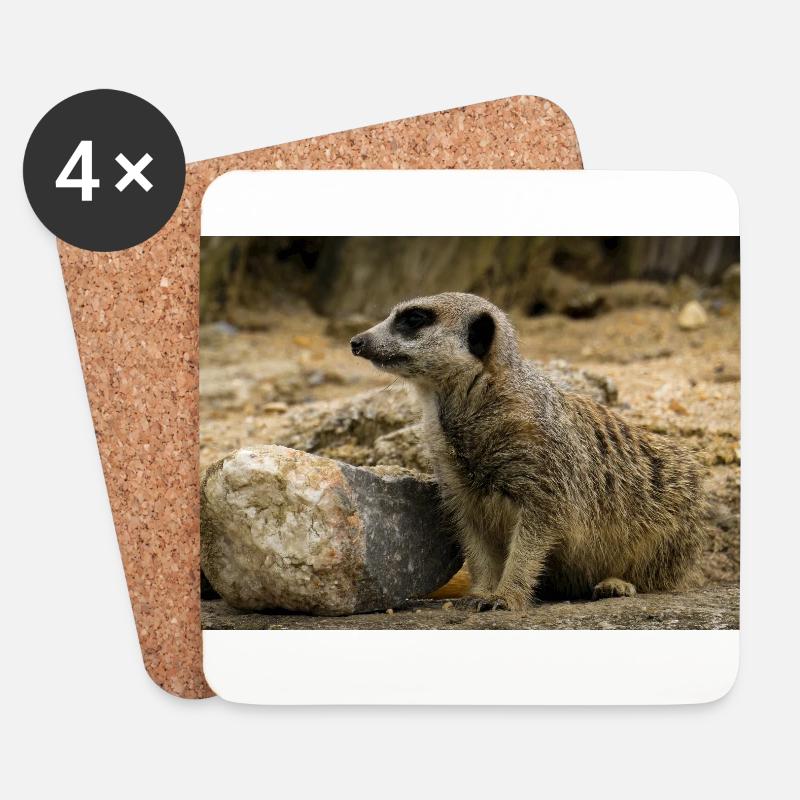 Erdmännchen thront über Felsen Foto - Untersetzer (4er-Set) - Weiß
