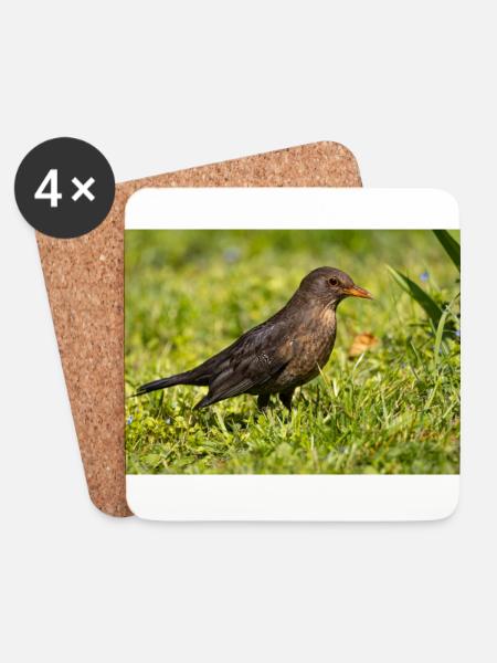 Amsel - Untersetzer (4er-Set) - Weiß