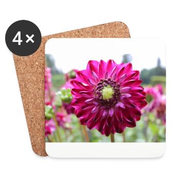 Dahlia Red Violet Blossom ,Flower - Coasters (set of 4) - white - Front