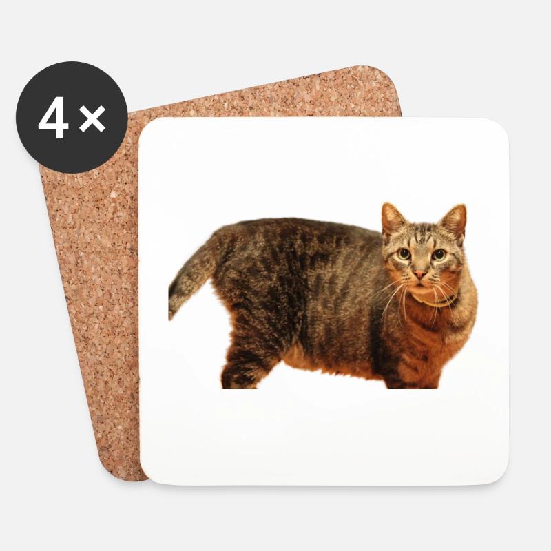 Katze Kätzchen - Untersetzer (4er-Set) - Weiß
