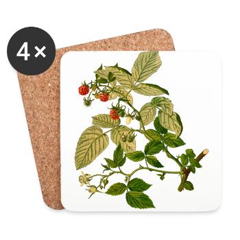 herbes thym romarin persil origan aneth - Dessous de verre (lot de 4) - blanc - Devant