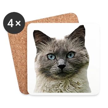 Cat Cats cat Cats Cat Head - Coasters (set of 4) - white - Front