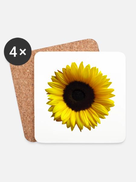 Sunflower, sunflower, flower, bloom, floral - Coasters (set of 4) - white
