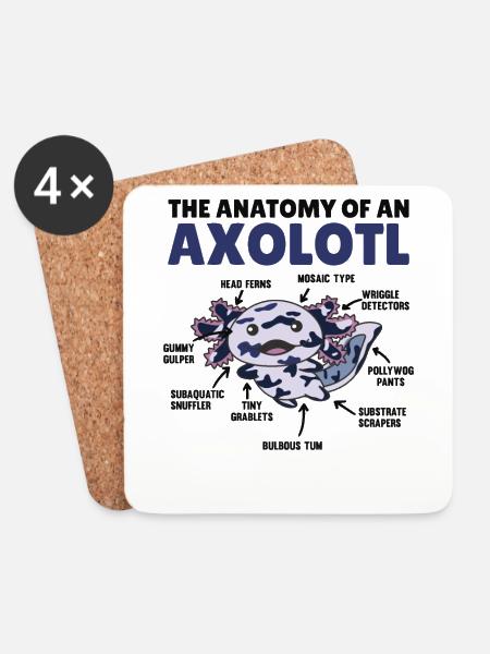Mosaik Axolotl Erklärung Anatomy of an Axolotl - Untersetzer (4er-Set) - Weiß