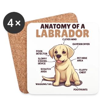 Hunde Erklärung Anatomy eines Labrador - Untersetzer (4er-Set) - Weiß - Vorne