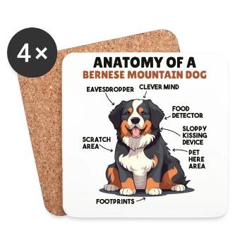 Hunde Erklärung Anatomy eines Berner Sennenhund - Untersetzer (4er-Set) - Weiß - Vorne