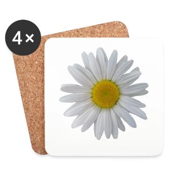 flowering daisies flower, flowers, flowering, floral - Coasters (set of 4) - white - Front