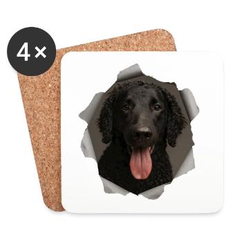 Curly coated retriever - Coasters (set of 4) - white - Front