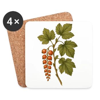 Rote Johannisbeere Botanische Vintage-Kunst - Untersetzer (4er-Set) - Weiß - Vorne
