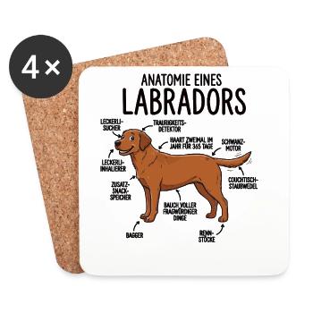 Anatomie eines Labradors – Lustiges Hunde Design - Untersetzer (4er-Set) - Weiß - Vorne