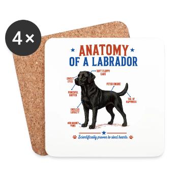 Chemise noire Labrador Anatomy - Dessous de verre (lot de 4) - blanc - Devant