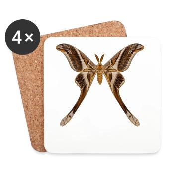 Hercule de nuit Coscinocera hercules - Dessous de verre (lot de 4) - blanc - Devant