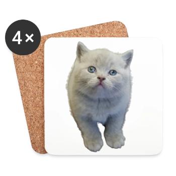 kitten - Coasters (set of 4) - white - Front