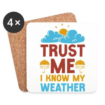 Meteorologist Weather Forecast - Coasters (set of 4) - white - Front