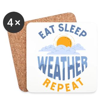 Meteorologist Weather Forecast - Coasters (set of 4) - white - Front