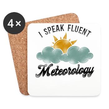 Meteorologist Weather Forecast - Coasters (set of 4) - white - Front