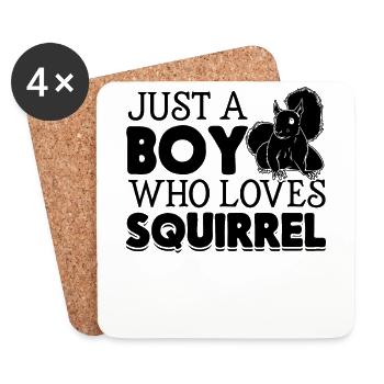 Squirrel Lover Squirrel Boy - Just a boy who - Coasters (set of 4) - white - Front