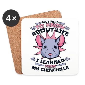 I learned from My Chinchilla Shorttail Longhair - Coasters (set of 4) - white - Front