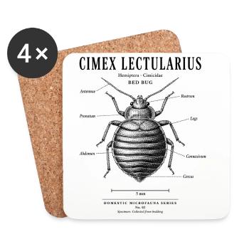 Bed Bug – Domestic Microfauna No. 02 - Coasters (set of 4) - white - Front