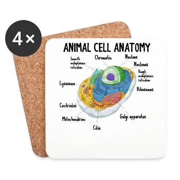 Anatomy Of Animal Cell Biology Biologist Science - Coasters (set of 4) - white - Front