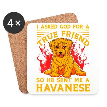 I asked God for a true friend he sent me Havanese - Coasters (set of 4) - white - Front